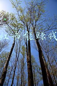 小红书能赚钱吗