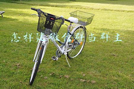 怎样建微信群当群主