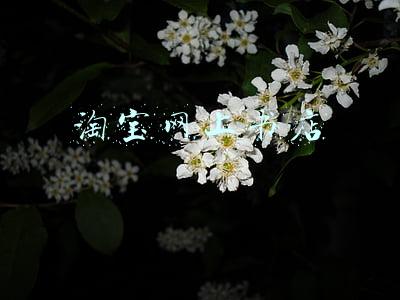 淘宝网上书店