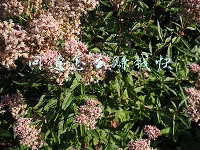 问道怎么赚钱快2016(工作室问道搬砖，怎么多开刷金及细节问题)