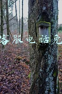 淘宝客服电话免费吗