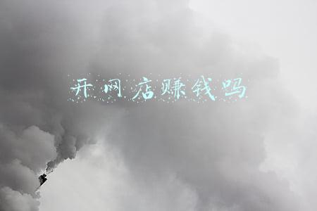 开网店赚钱吗