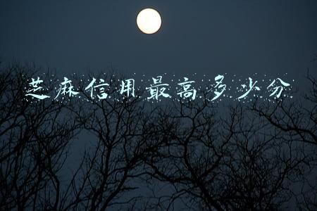芝麻信用最高多少分