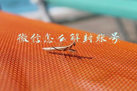 微信怎么解封账号