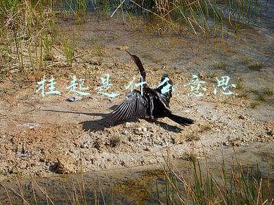 挂起是什么意思