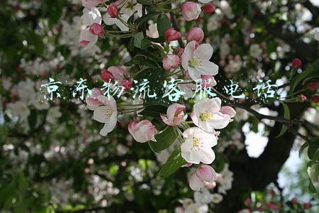 京东物流客服电话
