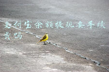 支付宝余额提现要手续费吗