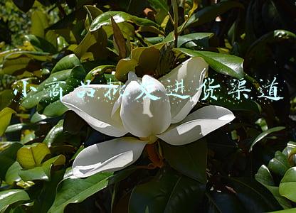小商品批发进货渠道