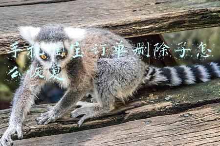 手机淘宝订单删除了怎么恢复