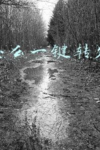 微信怎么一键转发朋友圈