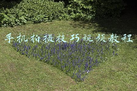 手机拍摄技巧视频教程