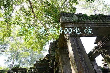 苏宁易购400电话