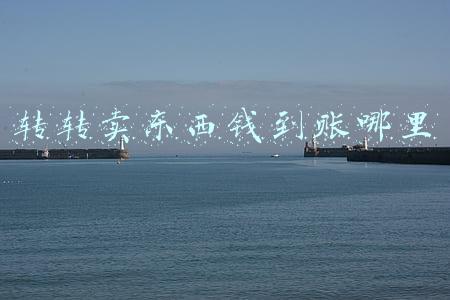 转转卖东西钱到账哪里