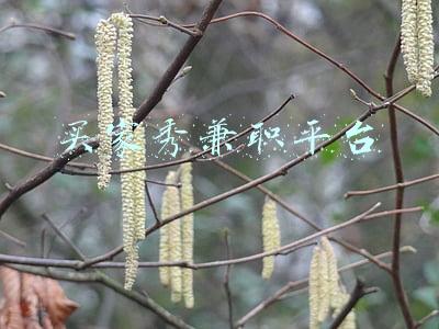 买家秀兼职平台