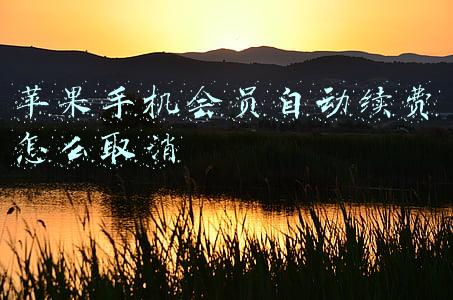 苹果手机会员自动续费怎么取消