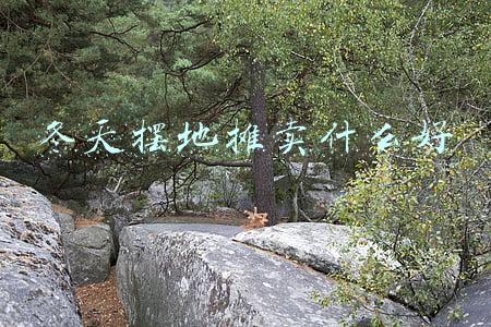 冬天摆地摊卖什么好