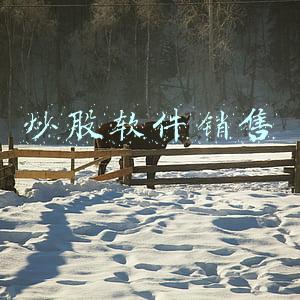 炒股软件销售价格可以针对客户不同价格不同吗(荐股电话骗局大曝光：拉\u0026#34;猪\u0026#34;进群奖160元/人，引诱客户装假APP，截走炒股资金)