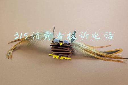 315消费者投诉电话