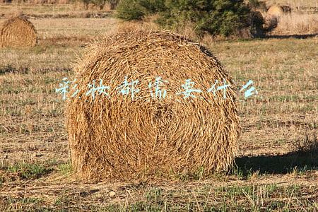 彩妆都需要什么