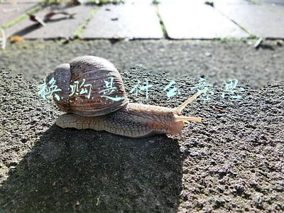 换购是什么意思