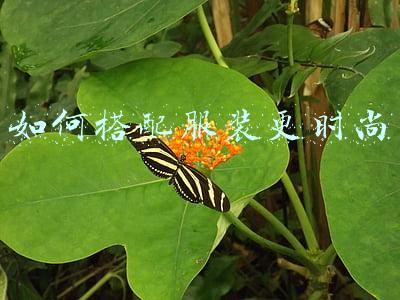 如何搭配服装更时尚