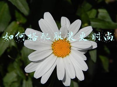 如何搭配服装更时尚