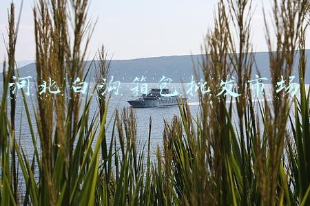 河北白沟箱包批发市场