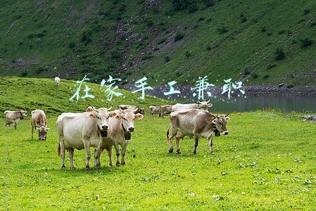 在家手工兼职 在家手工兼职