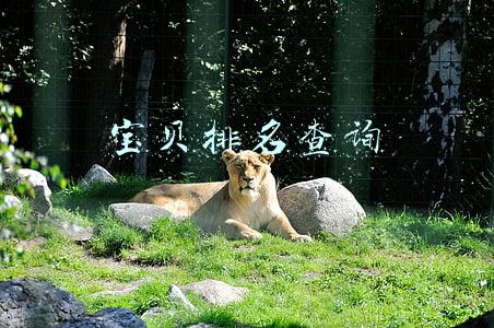 宝贝排名查询