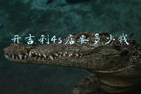 吉利4s店怎么样《吉利车行怎么样？》