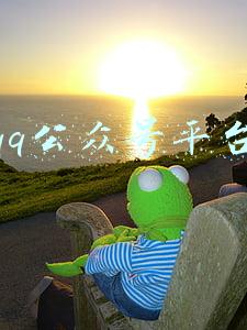 qq公众号平台