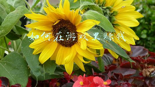 如何在游戏里赚钱