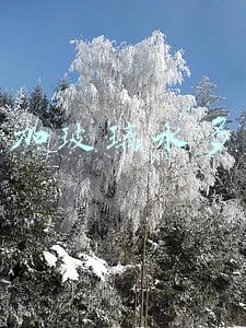 4s店加玻璃水要钱吗 加油站加玻璃水要钱吗？ 怎么个收费法