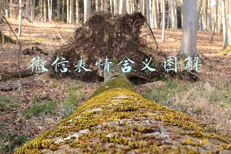 微信表情含义图解