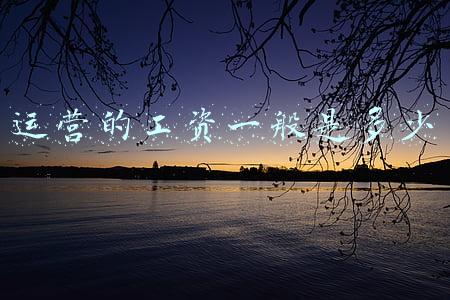 运营的工资一般是多少