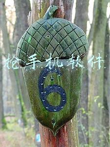 抢手机软件