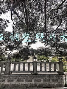 怎么调整照片大小