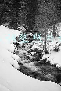 怎么调整照片大小 怎么调整照片大小