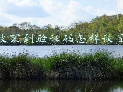 收不到验证码怎样设置