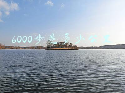6000步是多少公里