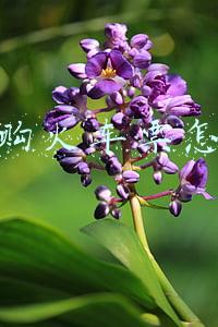 网上购火车票怎么买