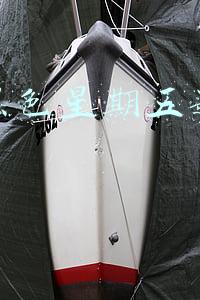 美国黑色星期五是什么时候