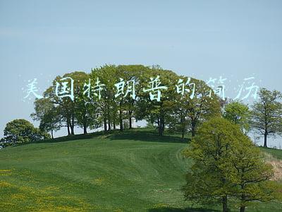 美国特朗普的简历