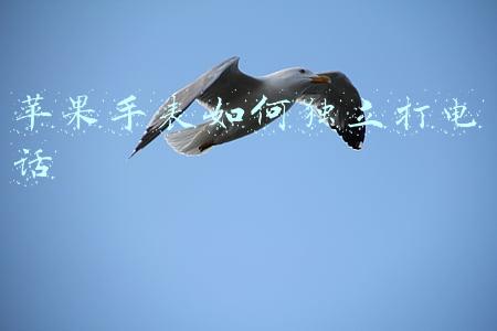 苹果手表如何独立打电话
