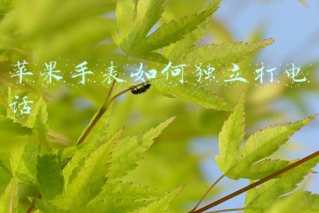 苹果手表如何独立打电话