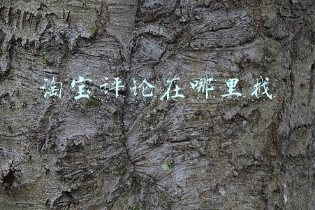淘宝评论在哪里找