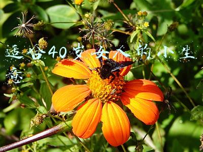 适合40岁女人的小生意