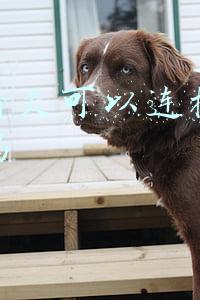 天猫精灵不能连接手机热点(2018款五菱神车改装内置天猫精灵的原理和教程，值得一看)