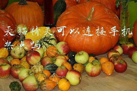天猫精灵可以连接手机热点吗