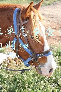 微信账单怎么查询给一个人的明细